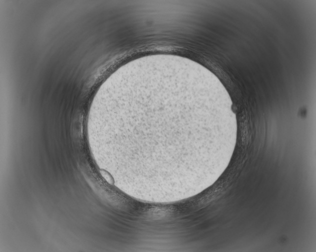 X0000115260350200912111145