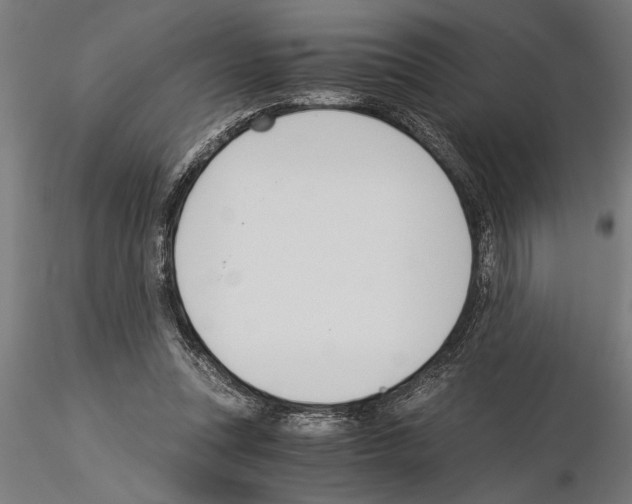 X0000115260351200912111145