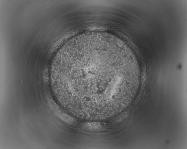 X0000115260353200912111145