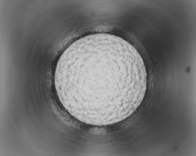 X0000115260354200912111145