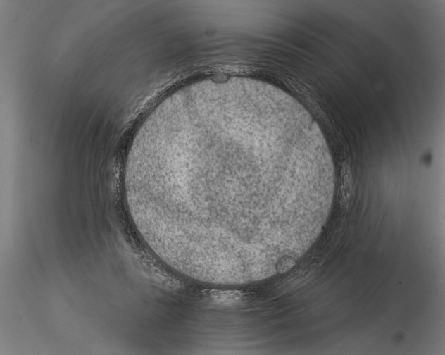 X0000115260355200912111145