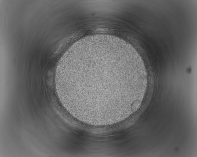 X0000115260361200912111145