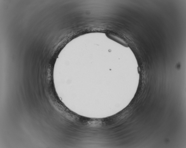 X0000115260362200912111145