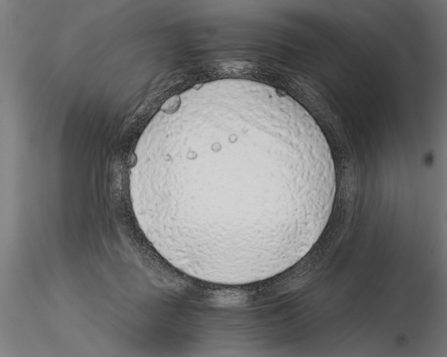 X0000115260363200912111145