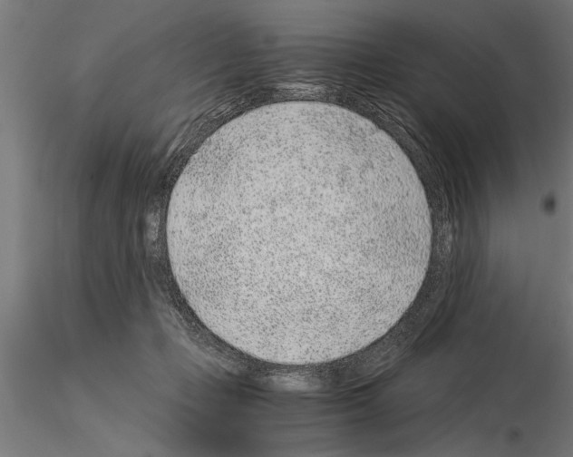 X0000115260365200912111145