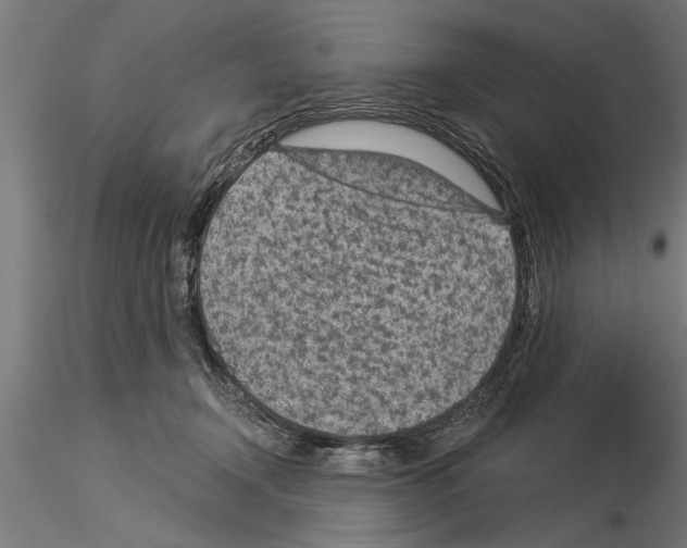 X0000115260366200912111145