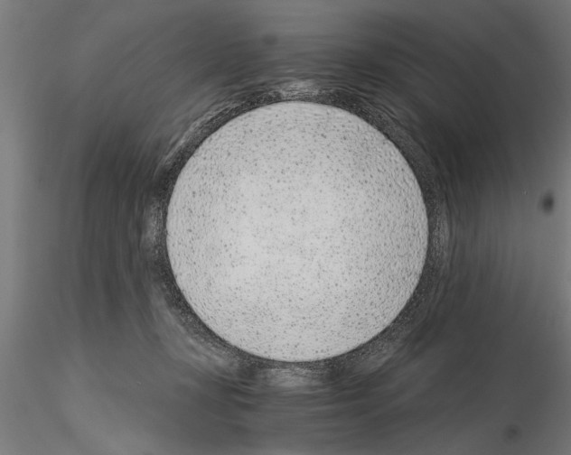 X0000115260367200912111145