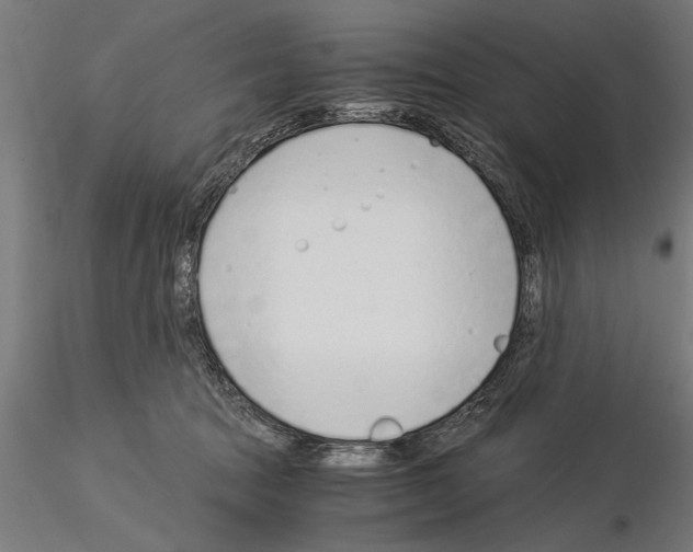 X0000115260369200912111145