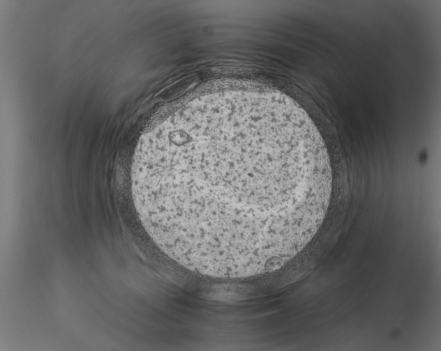 X0000115260371200912111145