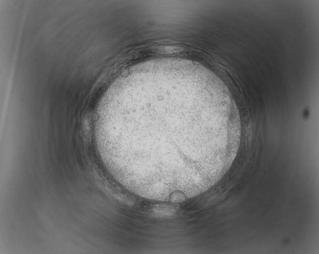 X0000115260373200912111145