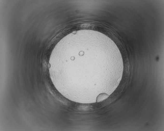 X0000115260375200912111145