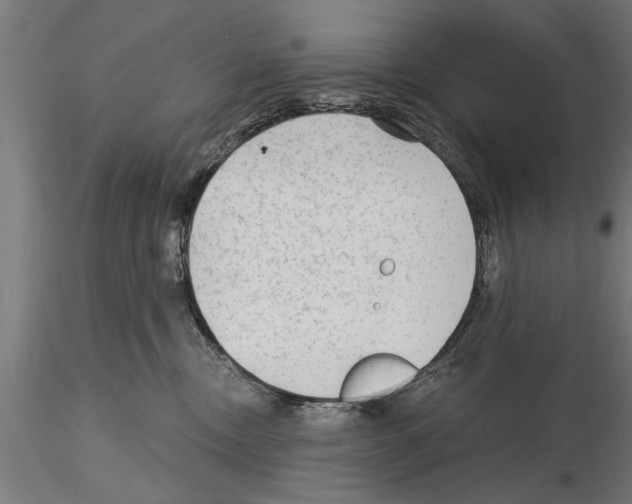 X0000115260378200912111145