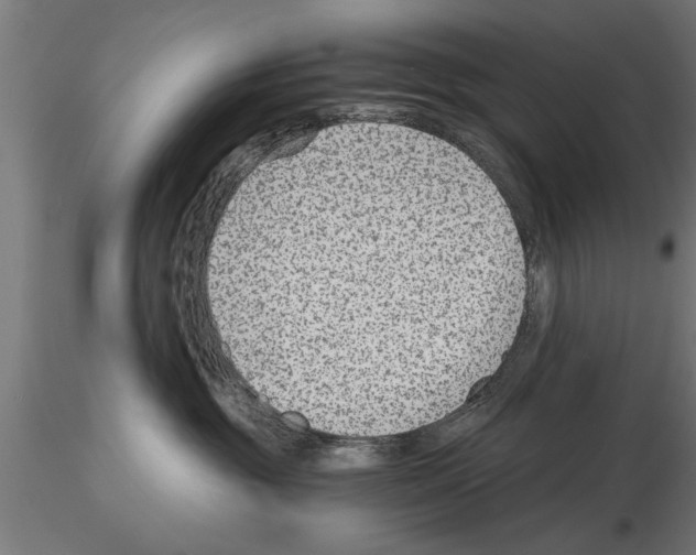 X0000115260381200912111145