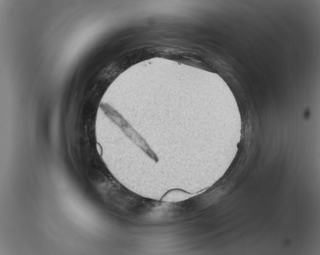 X0000115260382200912111145