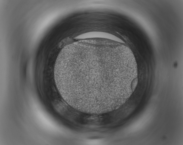 X0000115260383200912111145