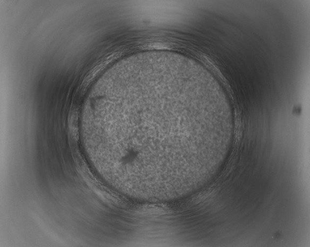 X0000115260386200912111145