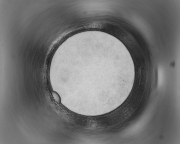 X0000115260388200912111145