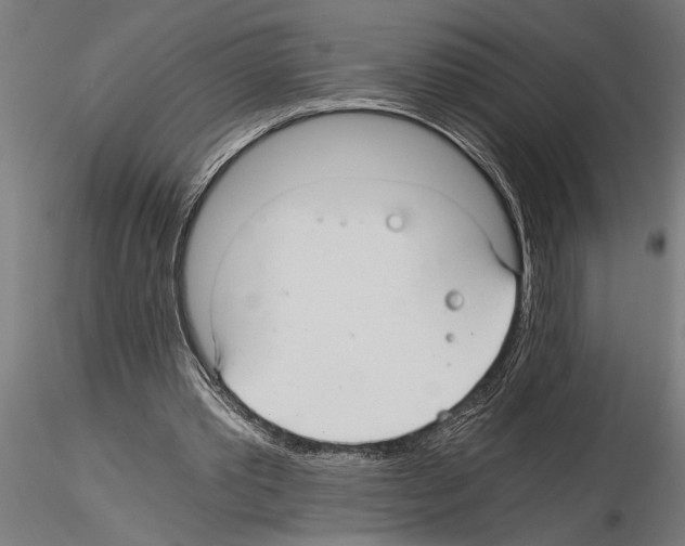 X0000115260389200912111145