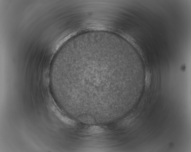 X0000115260390200912111145