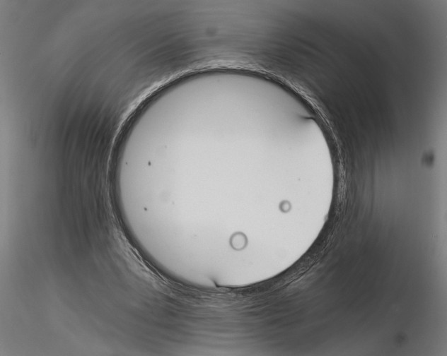 X0000115260391200912111145