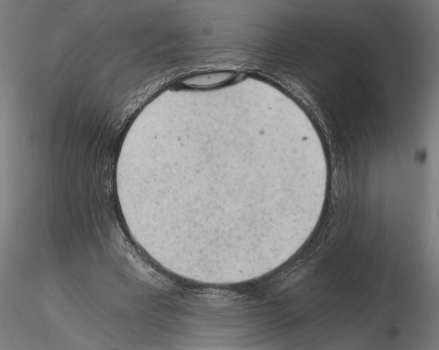 X0000115260393200912111145