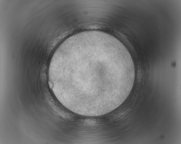 X0000115260394200912111145