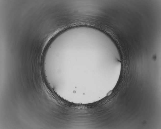 X0000115260395200912111145