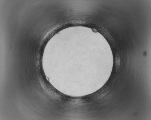 X0000115260396200912111145