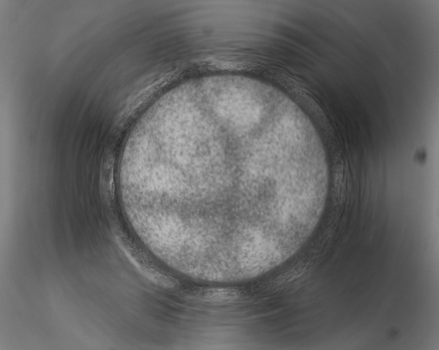 X0000115260398200912111145