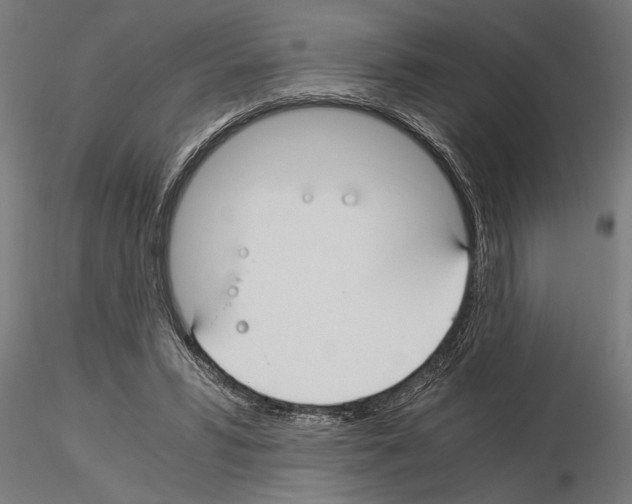 X0000115260399200912111145