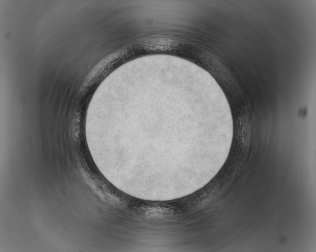 X0000115260400200912111145