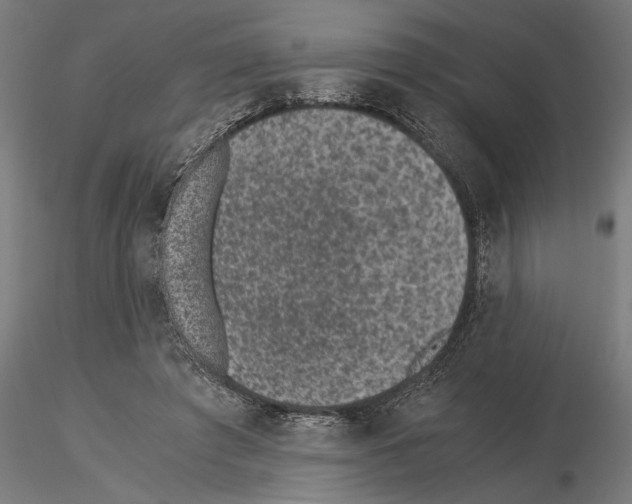 X0000115260401200912111145