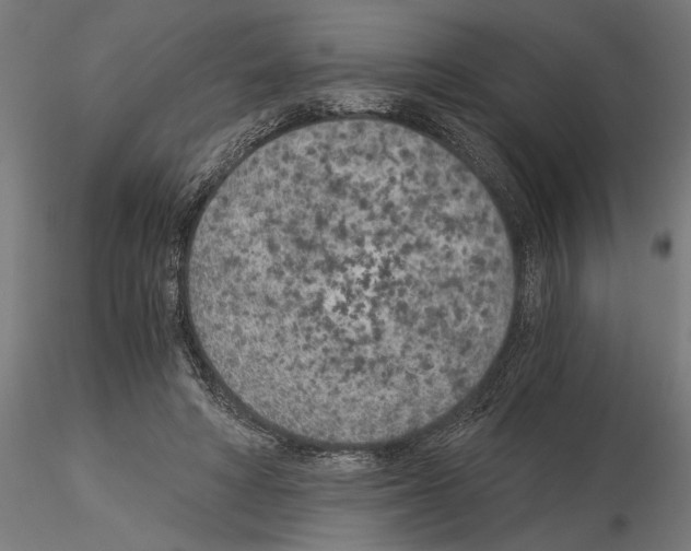 X0000115260402200912111145