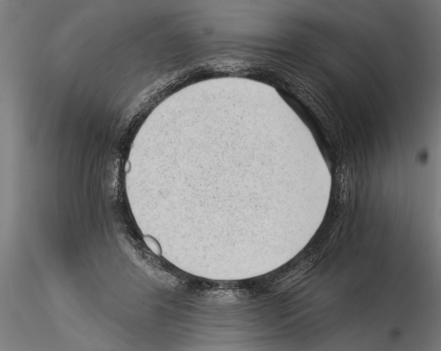 X0000115260404200912111144