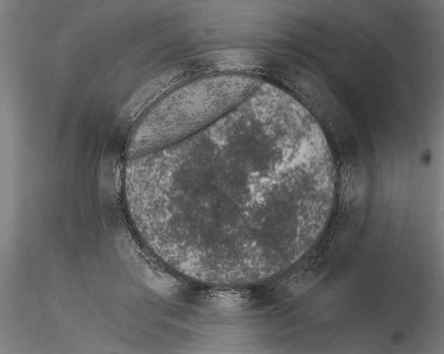 X0000115260405200912111144