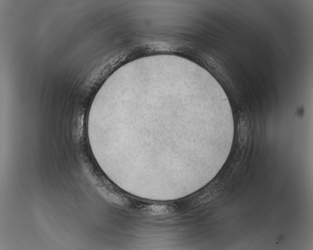 X0000115260406200912111144