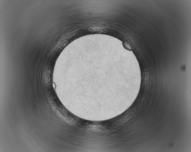 X0000115260408200912111144