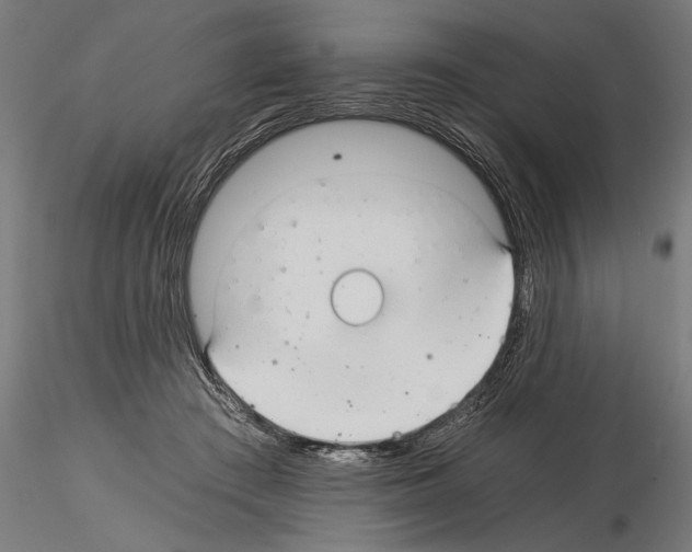 X0000115260409200912111144