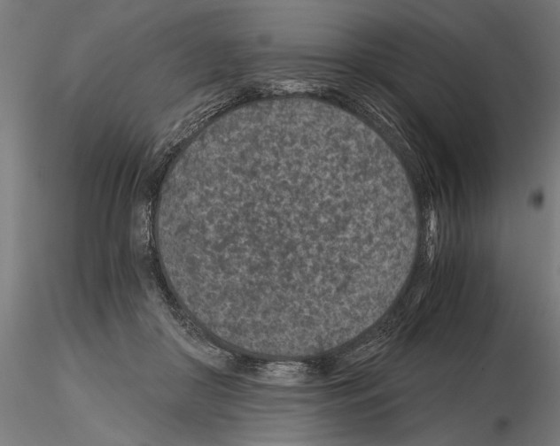 X0000115260410200912111144