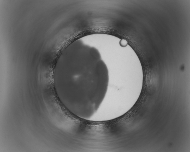 X0000115260411200912111144