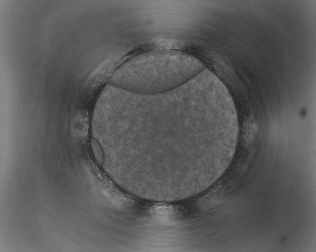 X0000115260413200912111144