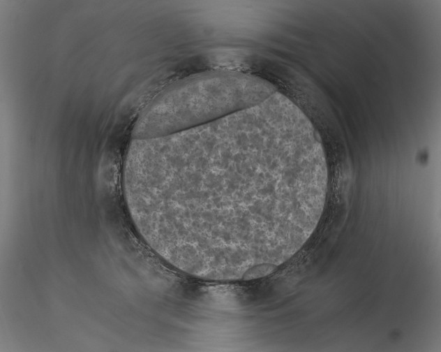 X0000115260417200912111144