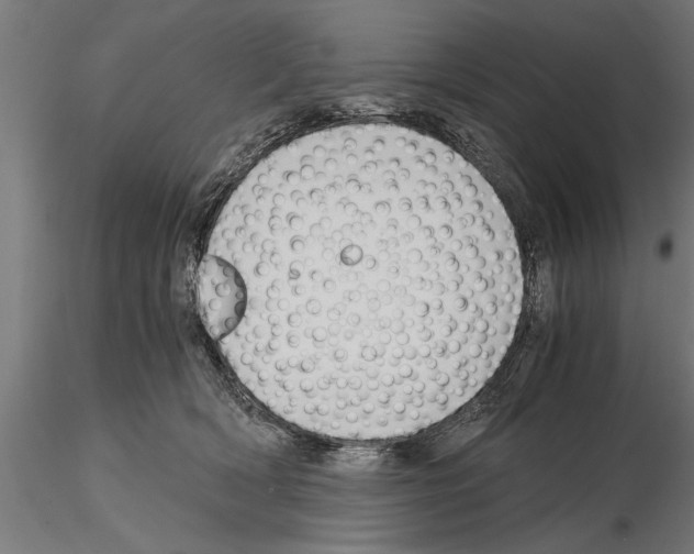 X0000115260418200912111144