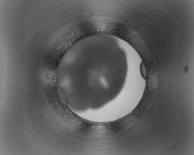 X0000115260419200912111144