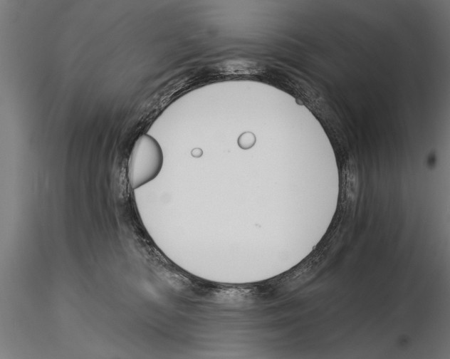 X0000115260422200912111144