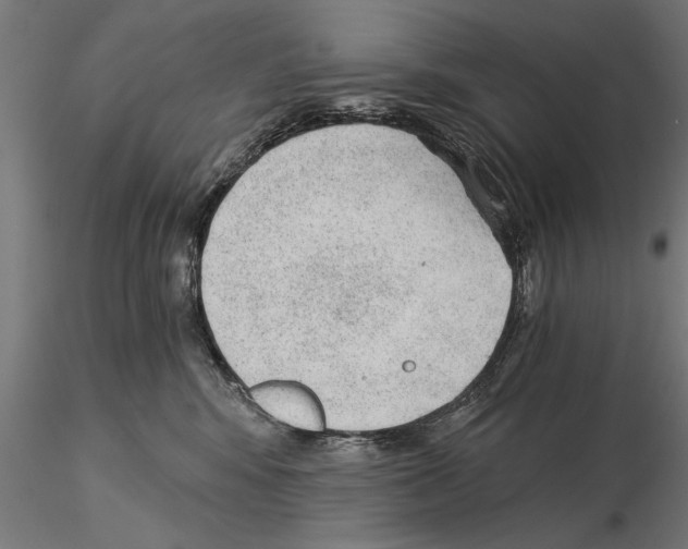 X0000115260424200912111144