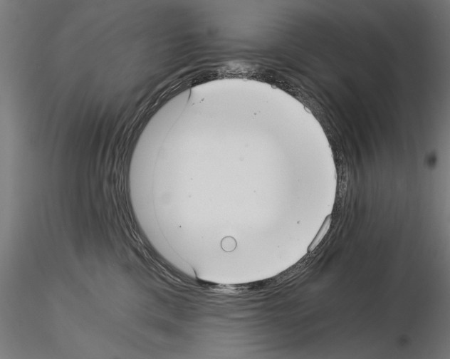 X0000115260425200912111144