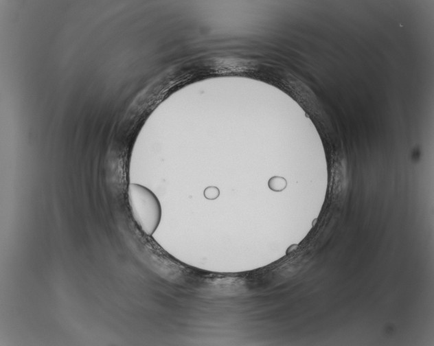 X0000115260426200912111144