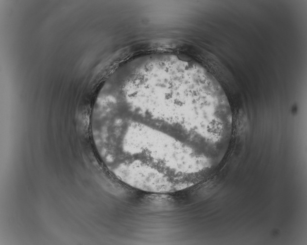 X0000115260427200912111144