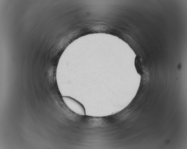 X0000115260428200912111144